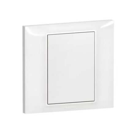 Blanking Plate