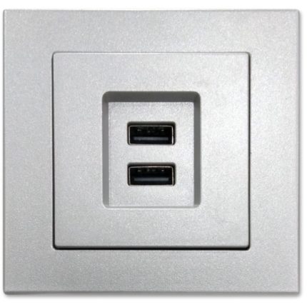 Dual USB Charging Port